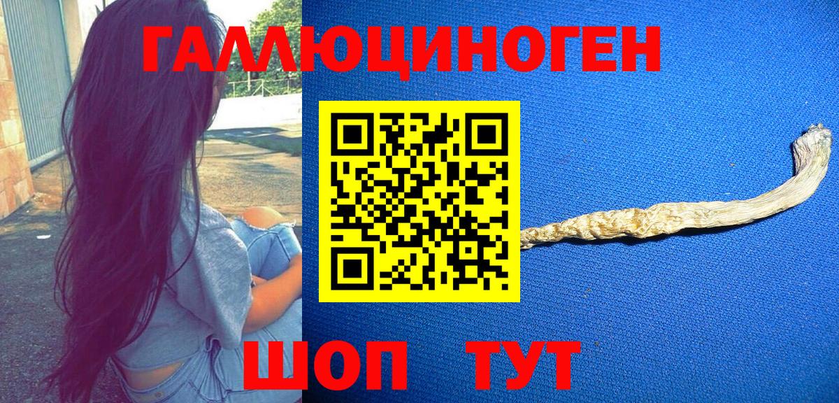 Галлюциногенные грибы прущие грибы Армавир