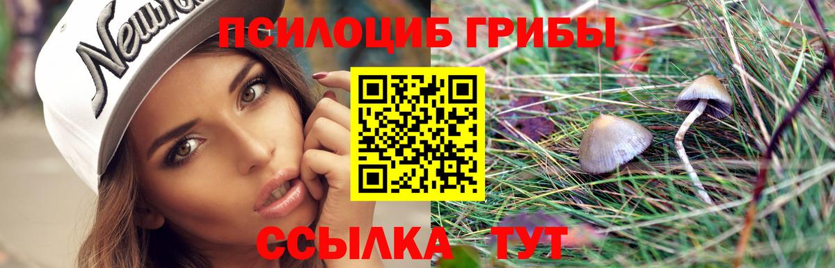 Армавир  Псилоцибиновые грибы мухоморы  Псилоцибиновые грибы GOLDEN TEACHER  Вход с VPN 