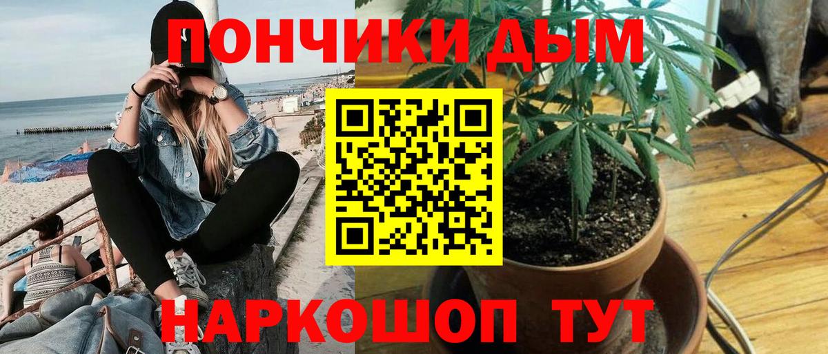 Марихуана сатива Армавир